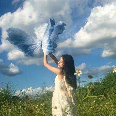 随心所问